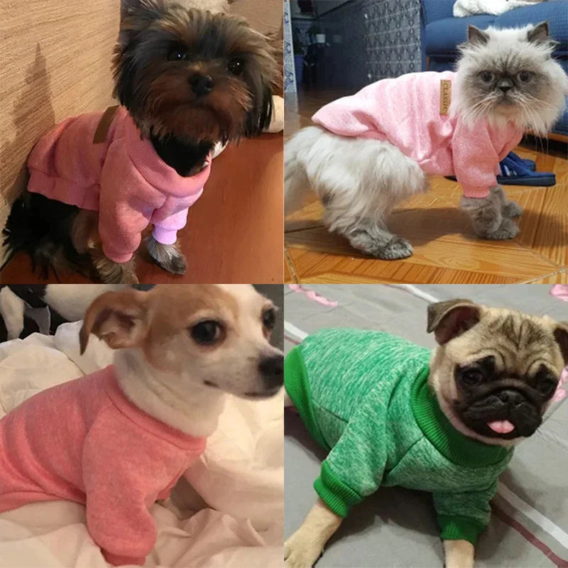 Cat Clothes For Medium Small Dogs Pet Coat Sweatshirt XS-2XL THRIXINE