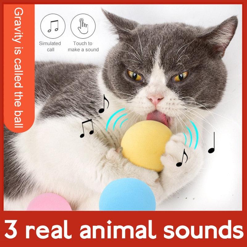 3 Colors Cat Toys New Gravity Ball Smart Touch Sounding Toys Interactive Pet Toys Toys Pet Training Ball Toy Supplies Interactive Cat Toy Ball of Sounds for Cats Stevvex