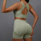 Yoga Women's Fitness Suit Shorts Workout Set THRIXINE