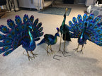 Peacock Statue Sculpture Handmade Crafts Ornament Animal Figurine Standing Posture Collectible Peacock Figurine Garden Craft Lootquake LLC