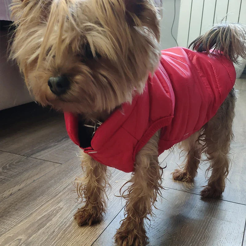 Dog Jackets Winter French Bulldog Small Dog Coat Clothes For York Coat For Little Dog Hoodie For Chihuahua Pet Products Leash Lootquake LLC