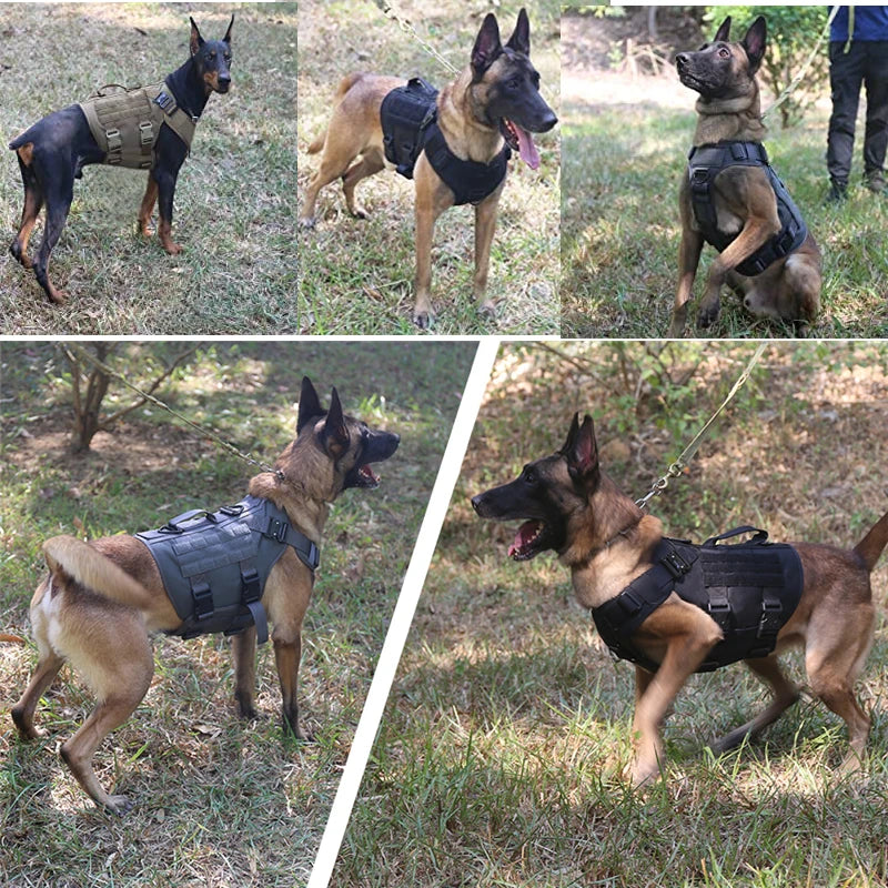Tactical Military Vest Pet German Shepherd Golden Retriever Tactical  Training Dog Harness and Leash Set For All Breeds Dogs Pi-Mart