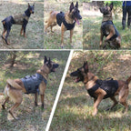 Tactical Military Vest Pet German Shepherd Golden Retriever Tactical  Training Dog Harness and Leash Set For All Breeds Dogs Pi-Mart