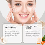 Vitamin C Facial Cream Brightening Lightening Improve Dullness Anti-Wrinkle Firming Moisturizing Hydrating Nicotinamide Skincare