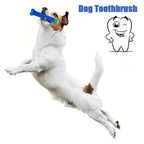 Dog Tooth Grinding Stick Food Grade Cleaning Massager Rubber Tooth Brush Chewing Toy Teeth Cleaning Pet with Slight Bite Force Lootquake LLC