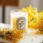 Romantic Limited Diptyques Candles Sakura Scented Fragrance Candle Light Gift High Quality Aromatherapy Perfume Aroma Home Decor Lootquake LLC