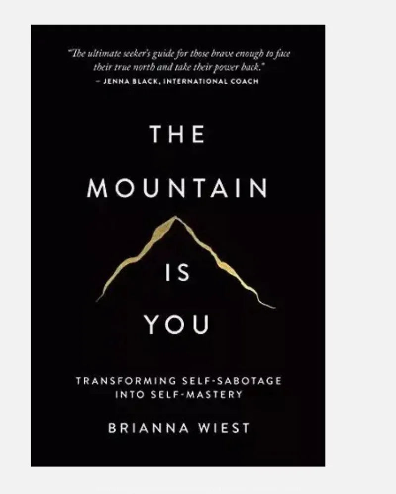 The Mountain Is You Book The Mountain Is You novels Ielts English Atomic Beans Boy On A Row Lootquake LLC