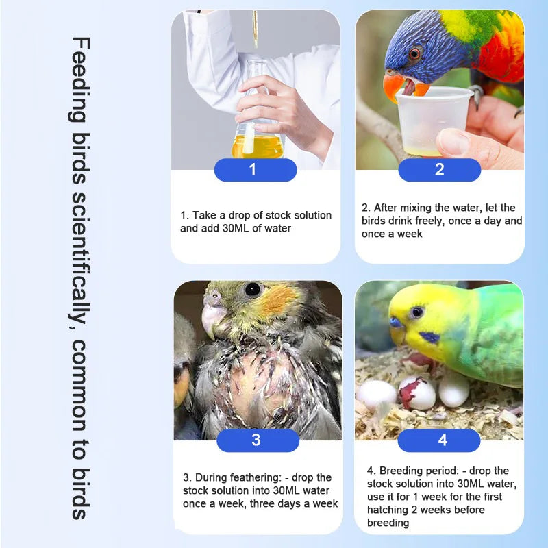 Pigeon Bird Breeding Vitamin Daily Moulting Improve Fertilization Supplement Multivitamins Amino Acid Nutrition Conditioning