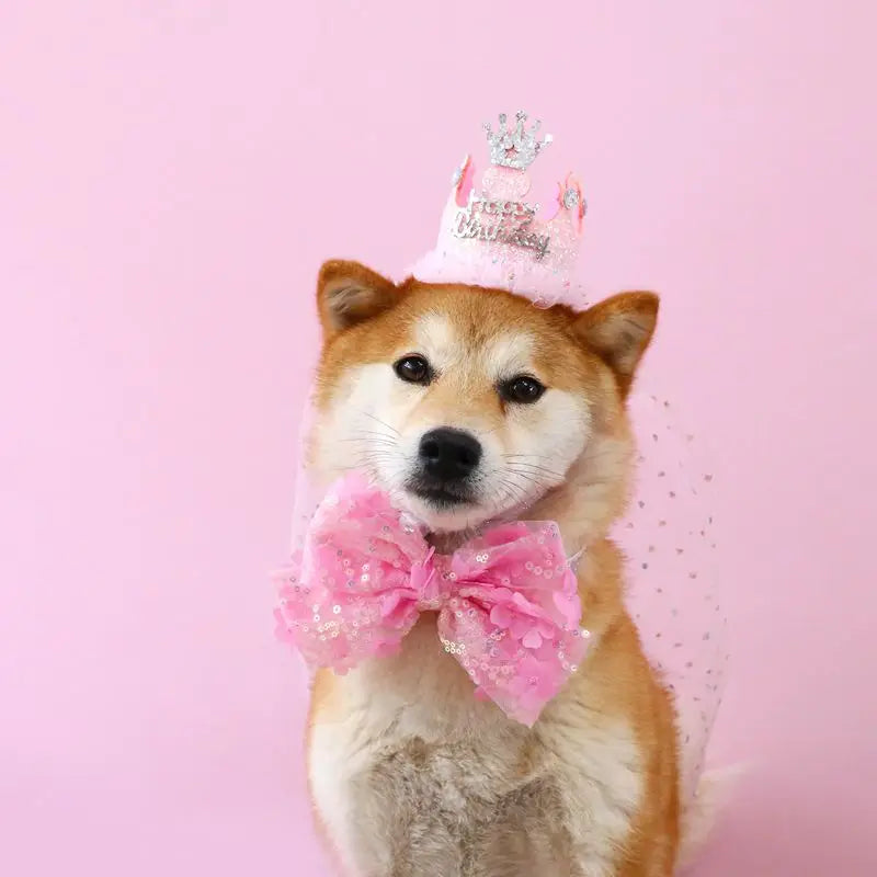 Pet Dog Birthday Party Dog Hat Candy Color Dot Lace Cat Bib Suit Cute Small Medium Dogs Costume Cap Pet Products Accessories Lootquake LLC