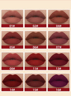 Luxury Matte Lip Gloss Set 12 Waterproof Shades Non Sticky Long Lasting Lipstick Kit For Daily Party Makeup Lootquake LLC