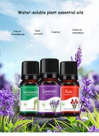 Natural Herb Essential Oils for Aroma Diffuser Air Humidifier Home Water-soluble 10ml Air Freshener Scents Fragrance Oil Perfume Lootquake LLC