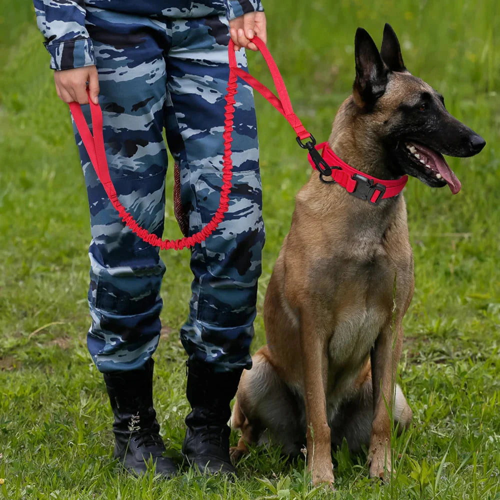 The Tactical Luxe Collar & Leash Fashioned Furbabies