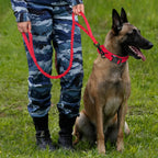 The Tactical Luxe Collar & Leash Fashioned Furbabies