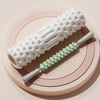 MuscleFlex Foam Roller: Stretch, Recover, Carry THRIXINE