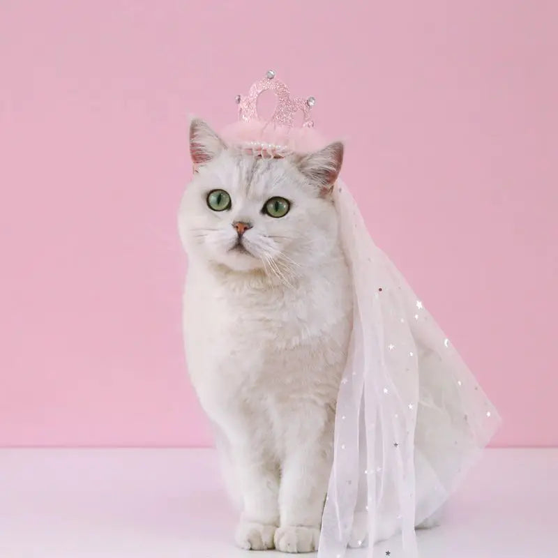 Pet Dog Birthday Party Dog Hat Candy Color Dot Lace Cat Bib Suit Cute Small Medium Dogs Costume Cap Pet Products Accessories Lootquake LLC