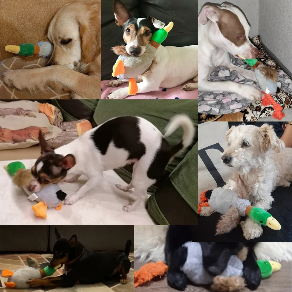 Cute Plush Duck Sound Pet Toys Stuffed Squeaky Animal Squeak Dog Toy Cleaning Tooth Dog Chew Rope Toys Pet Dog Accessories Toys Lootquake LLC