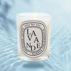 Romantic Transparent Scented Fragrance Candle Light Gift Scented Aromatic Candles Guest Gift Candles Wedding Candles Candle Jar Lootquake LLC