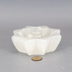 Selenite Rare 8 Point Star Bowl