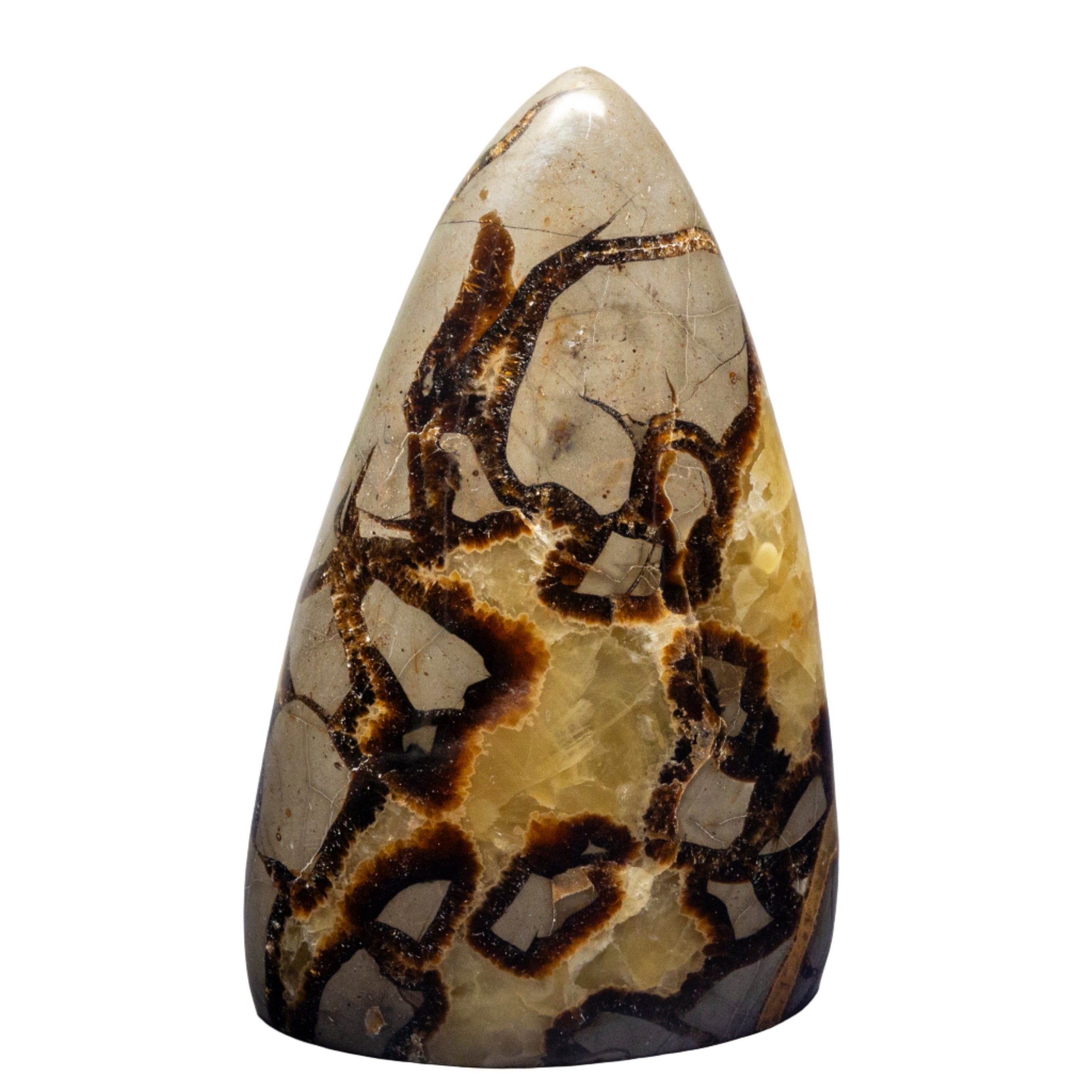 Septarian Stone Freeform - SJB-DIAMOND ELITES
