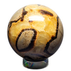Septarian Stone Sphere 66-75mm - SJB-DIAMOND ELITES