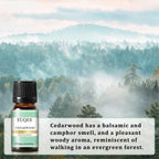 EUQEE 10ML Coconut Vanilla Bubble Gum Fragrance Oil For Making Candle, DIY Soap Coffee Cake Cedarwood Premium Aroma Oils Lootquake LLC