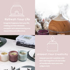 MAYJAM Fragrance Oils with Dropper Bamboo Bay Rum Forest Pine Fresh Cut Grass Rain New Aroma Oils For Humidifier Diffuser Lootquake LLC