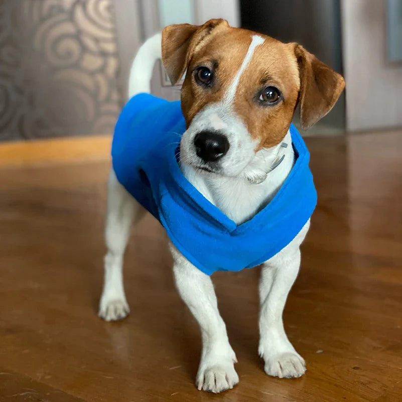 Fleece Dog Vest for Small Dogs Clothes Winter Yorkshire Terrier Costumes Puppy T Shirt Pet Cat Coat French Bulldog Poodle Outfit Lootquake LLC