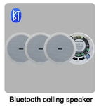 Built-in Class-D Amplifier Full Range Bluetooth-compatible Ceiling Speaker Horn For Home Theater Background Music Good Quality Lootquake LLC