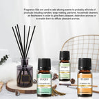 EUQEE 10ml Woody Fruit Fragrance Oil For Humidifier DIY Soap Candle Making Cedarwood Forest Pine Pumpkin Pie Coconut Pineapple Lootquake LLC