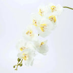 1Pcs Artificial Flowers Bouquet Butterfly Orchid Fake Flowers Phalaenopsis for Home Decor Garden Wedding Decoration Accessories Lootquake LLC