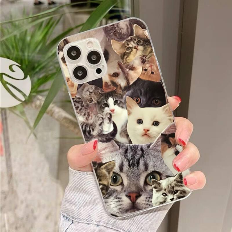 Crying Cat Memes Phone Case Mask Colorful Case For Cat Lovers For Iphone 7 And 8 In Moedern Design Stevvex