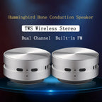 2025 New Bone Conduction Speaker Bluetooth-Compatible TWS Wireless Stereo Sound Hummingbird Speaker With FM Radio Dropshipping Lootquake LLC