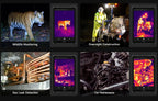 Ulefone Armor Pad 4 Ultra 5G Rugged Tablet  Thermal lmaging 10.36"2K Up to 16GB RAM 256GB ROM Android 14 11800mAh Lootquake LLC