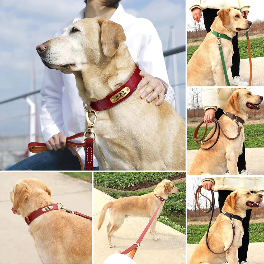 The Classic Leather Lead - Premium Dog Leash Fashioned Furbabies