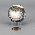 Shell Stone Crystal Sphere 54mm