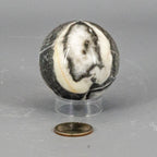 Shell Stone Crystal Sphere 54mm