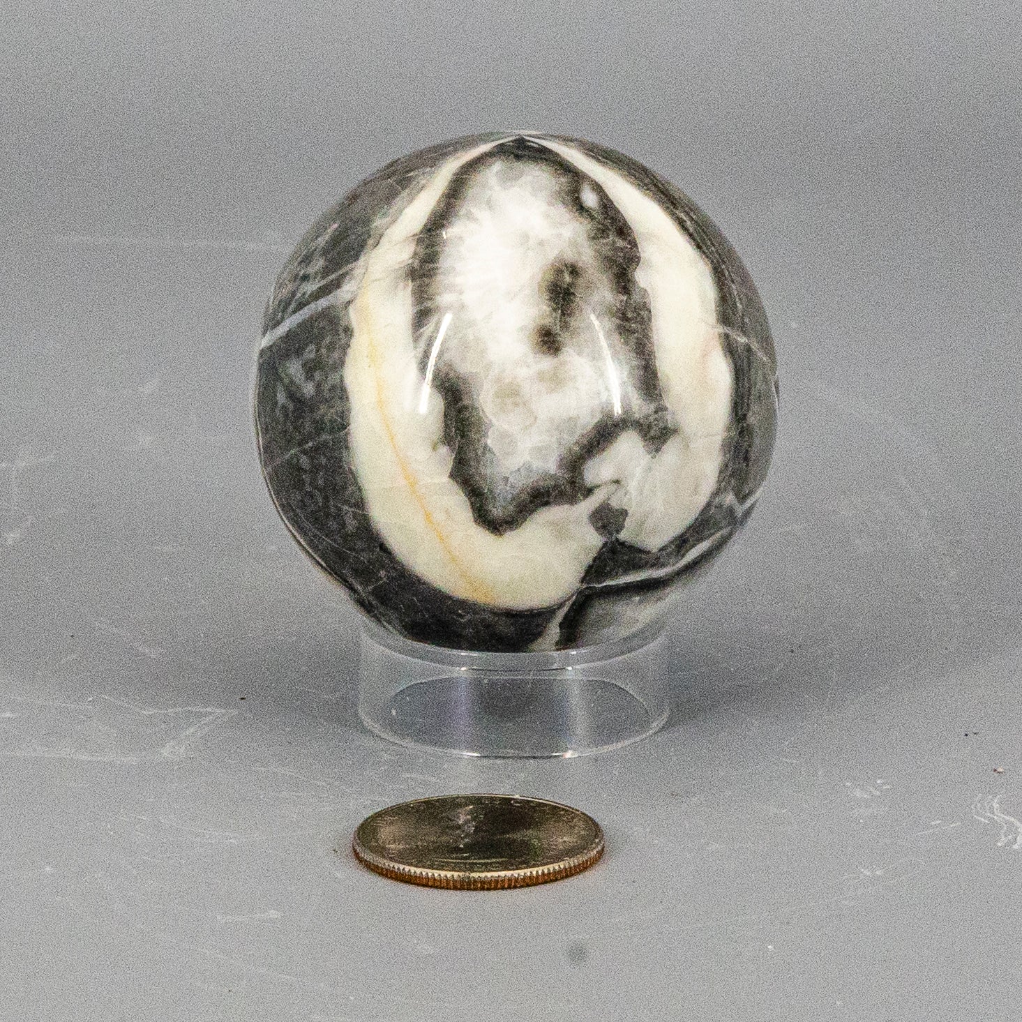 Shell Stone Crystal Sphere 54mm