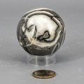 Shell Stone Crystal Sphere 54mm