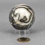 Shell Stone Crystal Sphere 54mm