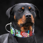 The “Ghostbuster” collar -LIMITED Bestia Dog Gear
