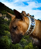 The "Metal" collar White & Gold- personalized! - SJB-DIAMOND ELITES