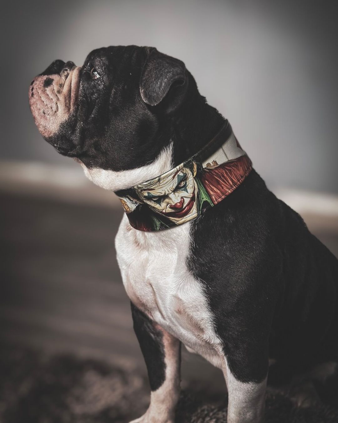 The Joker Limited Collar - SJB-DIAMOND ELITES
