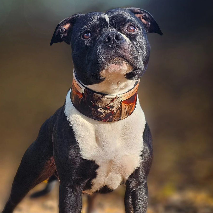 The Scare Collar Limited Bestia Dog Gear