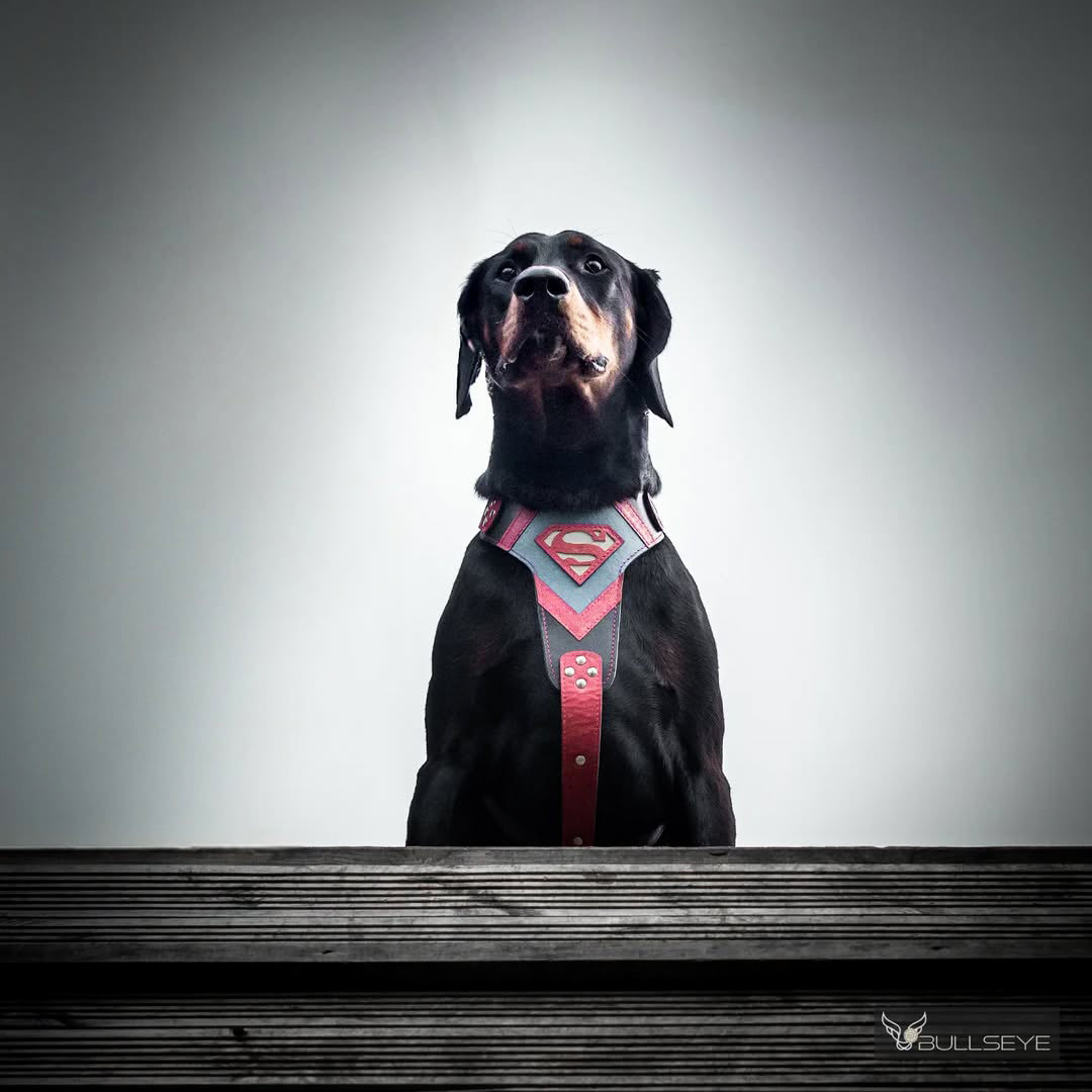 Superdog Harness Bestia Dog Gear