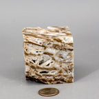 Sphalerite Crystal Cube with Druzys - SJB-DIAMOND ELITES