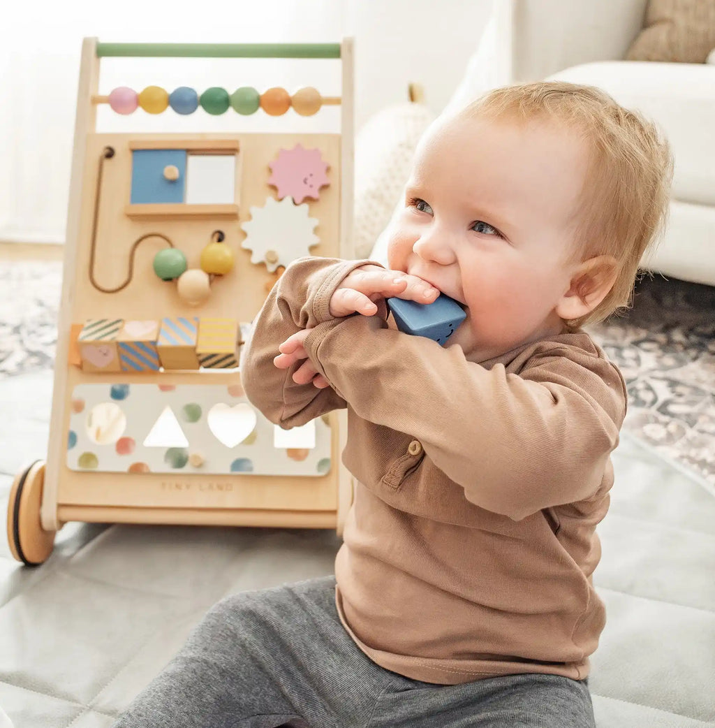 Complete Development Playset — Baby Walker + Activity Cube - SJB-DIAMOND ELITES