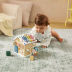 Complete Development Playset — Baby Walker + Activity Cube - SJB-DIAMOND ELITES