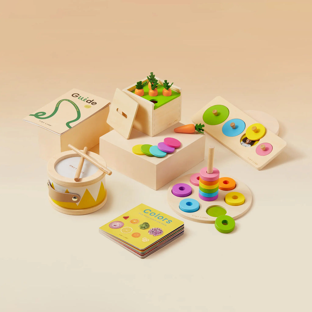 Tiny Land® Montessori Toys for Toddlers (13–15 Months) - SJB-DIAMOND ELITES