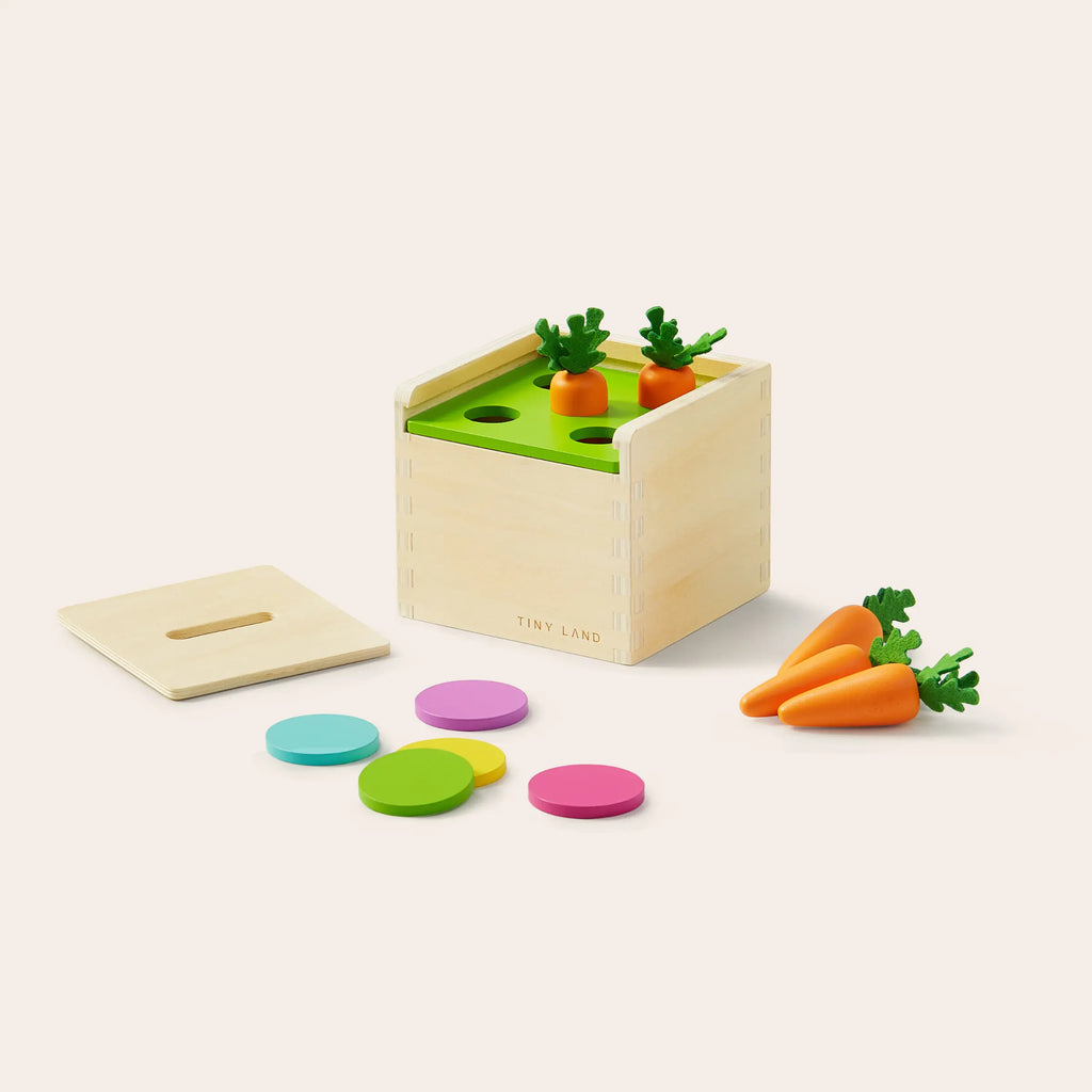 Tiny Land® Montessori Toys for Toddlers (13–15 Months) - SJB-DIAMOND ELITES
