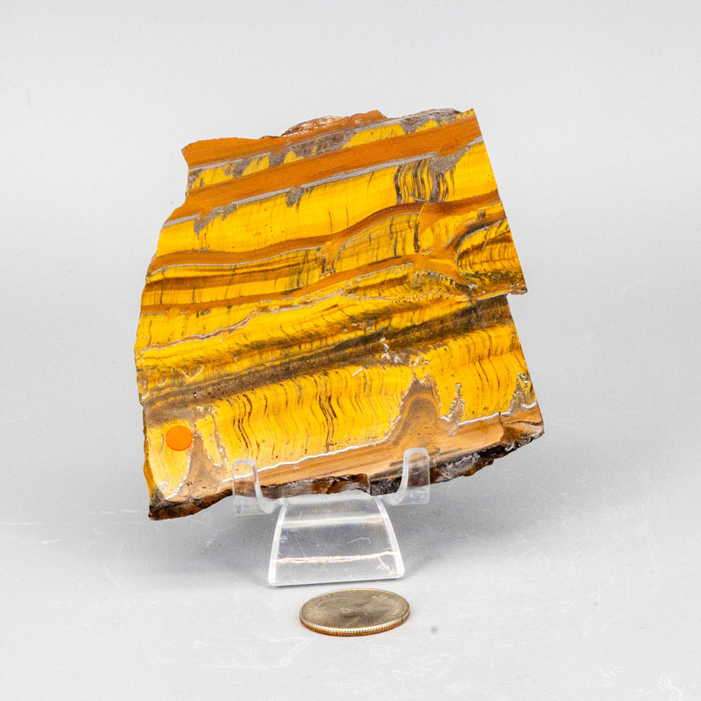 Tiger's Eye Polished Slices, Golden Healing Stone